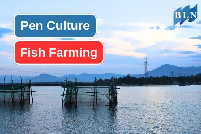 Here Are How Pen Culture Fish Farming Works